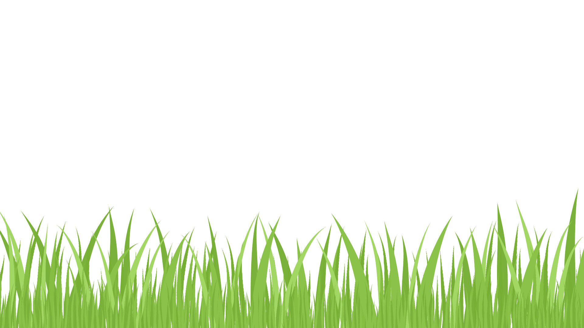 Cartoon grass